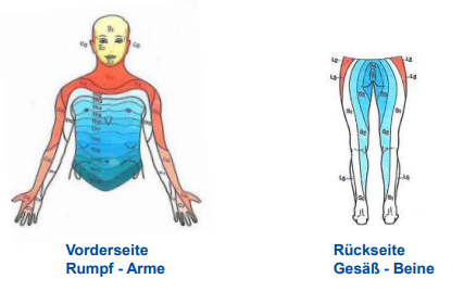 <ul><li><p>gibt Diagnostische Hinweise auf Höhe der Nervenschädigung</p></li></ul><p></p>