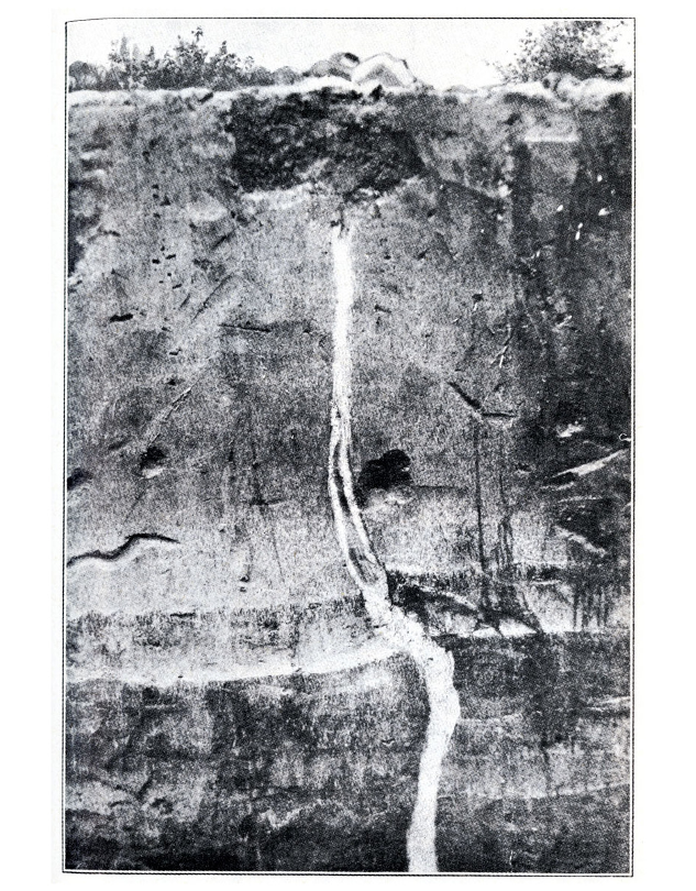 What earthquake generated geological feature is shown in the following picture: