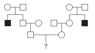newly married husband and wife find out that each had an uncle with Tay-Sachs disease, a severe autosomal recessive disease, probability of the couple’s first child having Tay-Sachs can be calculated as follows

step one:

* husband’s grandparents must have both been T/t because they produced a t/t child (the uncle) 
* husband’s father could be T/T or T/t, the relative probabilities of these genotypes must be 1/4 and 1/2, respectively 
  * bcs  expected progeny ratio in a monohybrid cross is 1/4 TT, 1/2 Tt, and 1/4 tt
* 2/3 probability that the father of husband is a heterozygote as probability of him being homozygous recessive is disregarded