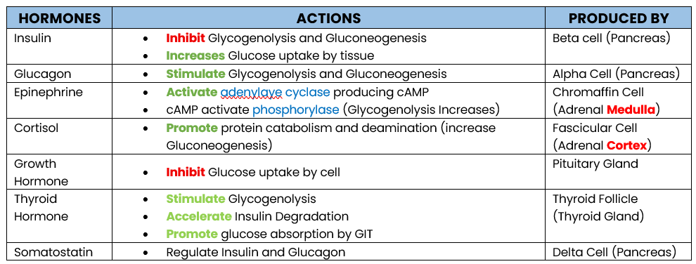 <ul><li><p>Stimulate <span style="color: red;"><strong>Glycogenolysis </strong></span>and <span style="color: red;"><strong>Gluconeogenesis</strong></span></p></li><li><p><strong>PRODUCED:</strong> <span style="color: blue;">Alpha Cell</span> (Pancrease)</p></li></ul><p></p>