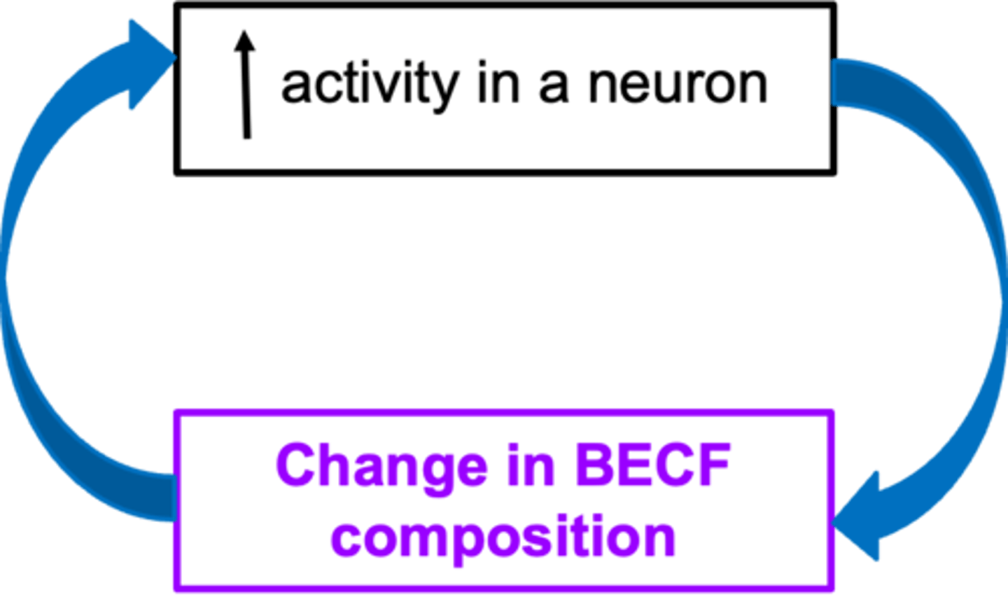 <p>What can BECF do?</p>