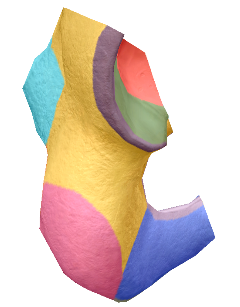term image