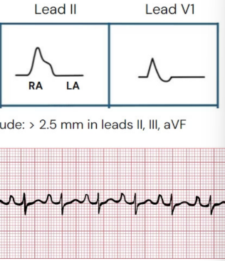 <p>What does this describe</p>