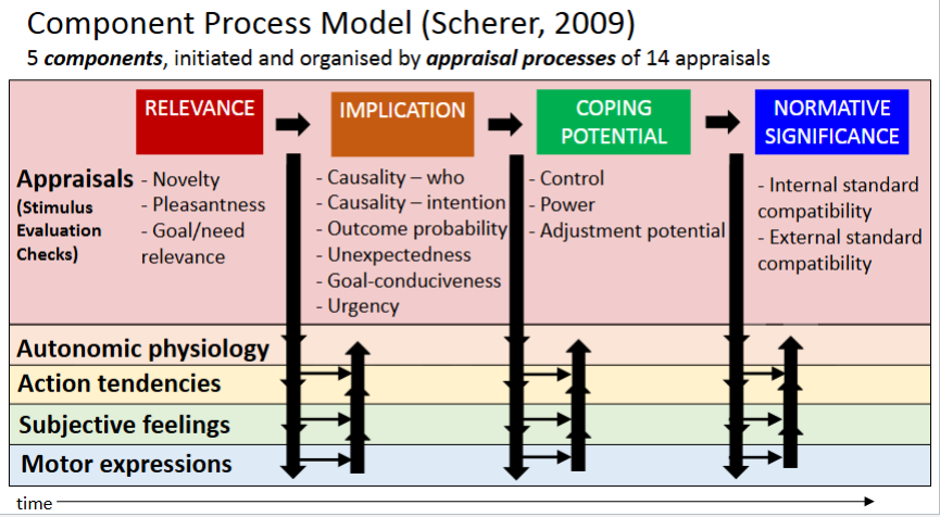 <p>relevance -&gt; implication -&gt; coping potential -&gt; normative significance</p>