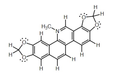 <p>Nitrogen - Has four bonds, no lone pair, results in + charge</p>