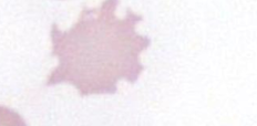 <p>What is this?</p>