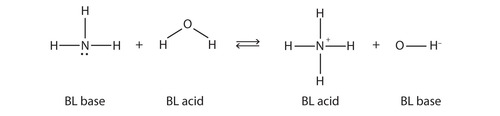 RNH2 + H2O ⇌ RNH3+ + OH-