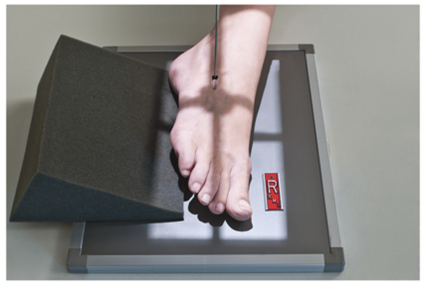 <p>What projection is this?</p>