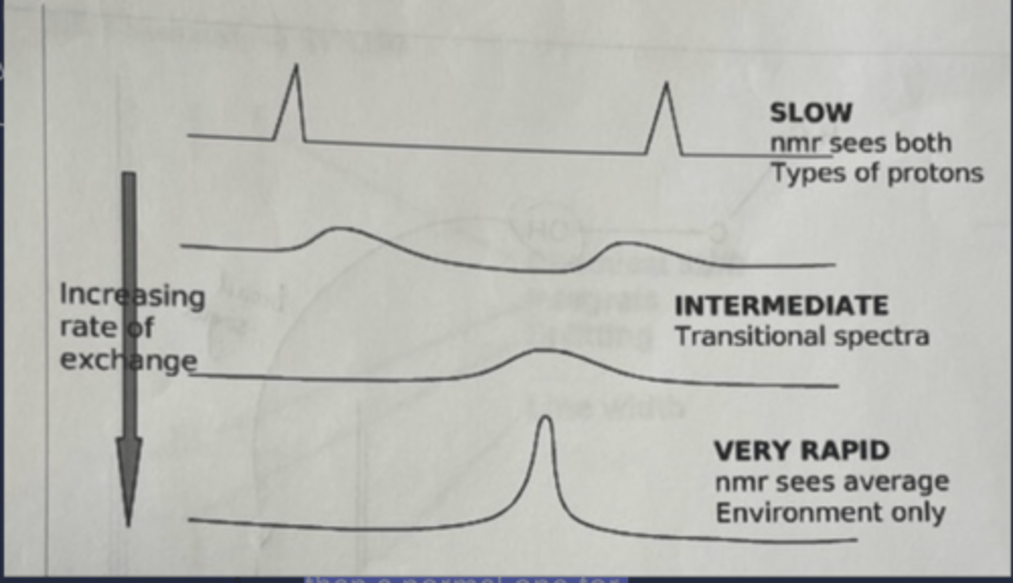 <p>exp 4: The behavior discussed in the prior card is called "exchanging" - how is it altered by different temperatures?</p>