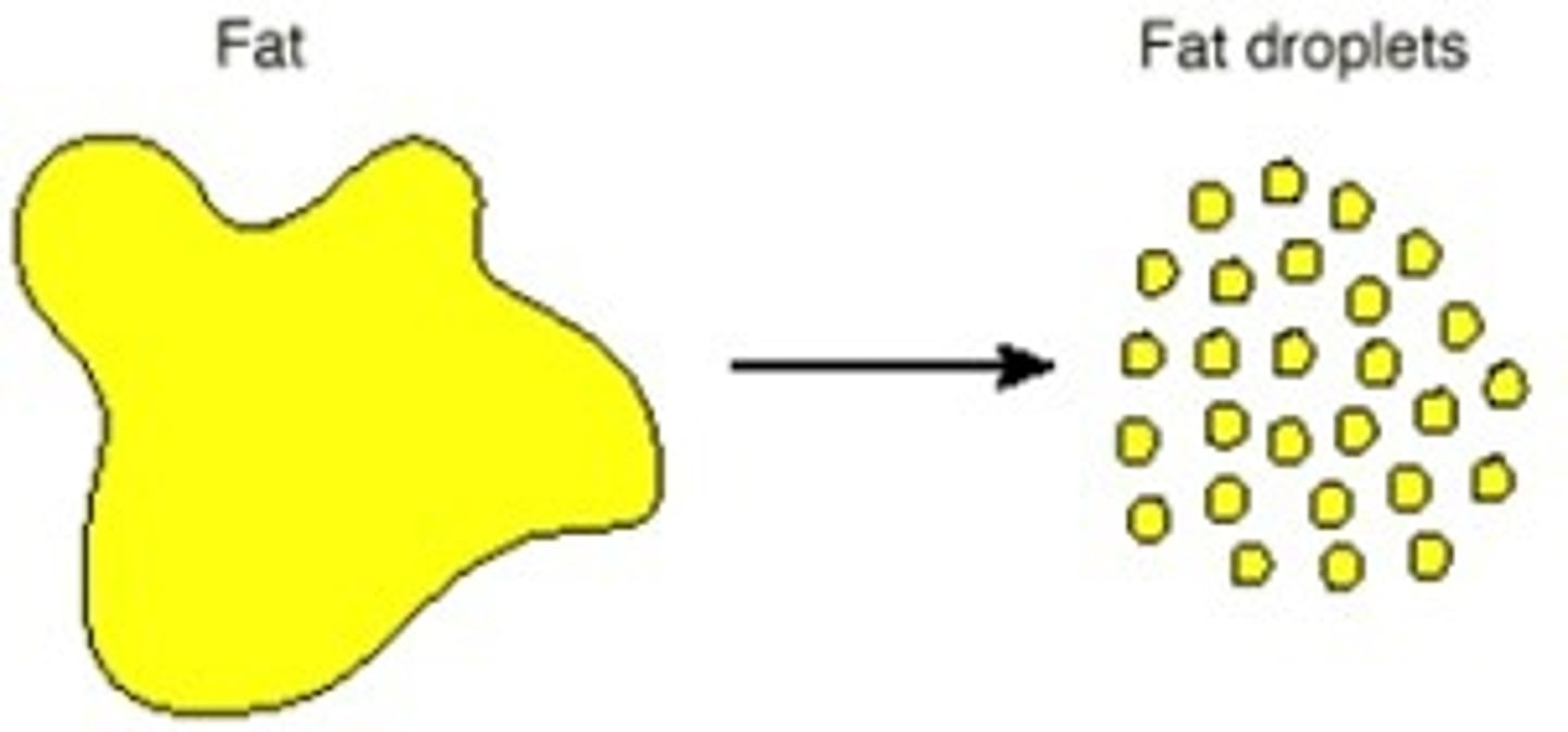 <p>The function of bile, separating fats to give increased surface area</p>