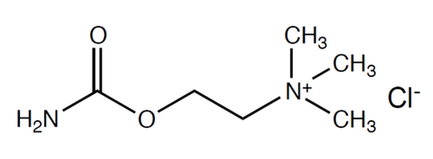 <p>modified ACh. Nitrogen replaced carbon 5</p>