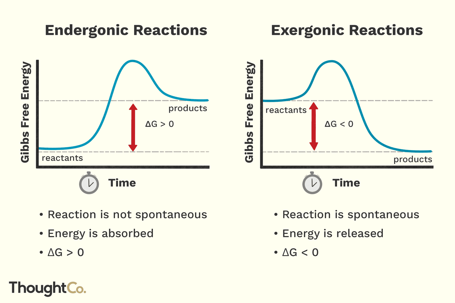 <p>negative Gibbs free energy </p>