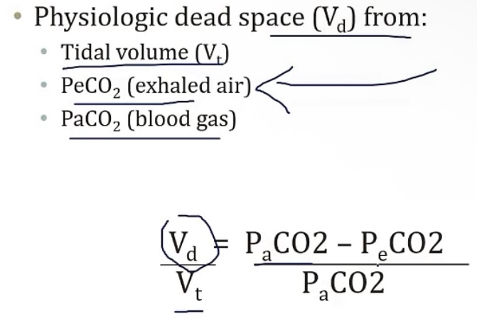 <p>-Bohr’s method</p><p>IF THE DEAD SPACE WERE ZERO…</p><p>-gas exchange; alveoli</p><p>-arterial CO2; gas exchange; CO2</p><p>IF THE DEAD SPACE WERE 100%…</p><p>-gas exchange; alveoli</p><p>-decreasing</p><p>-gas exchange; CO2 retention</p>