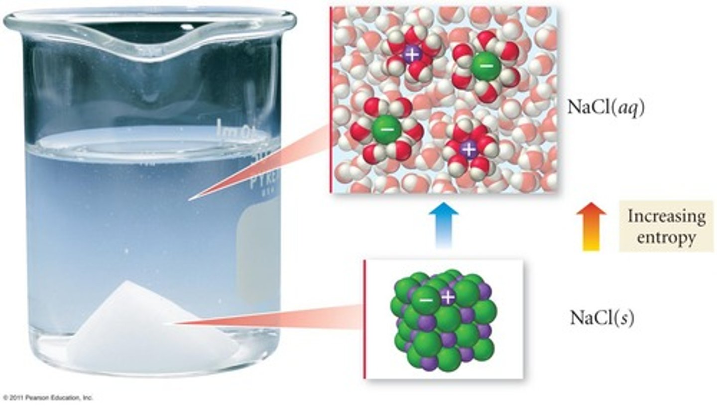 <p>Solubility increases with temperature.</p>