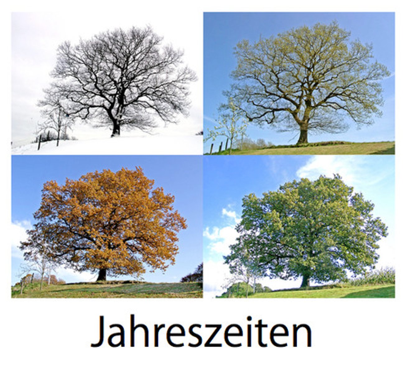 <p>season</p>
