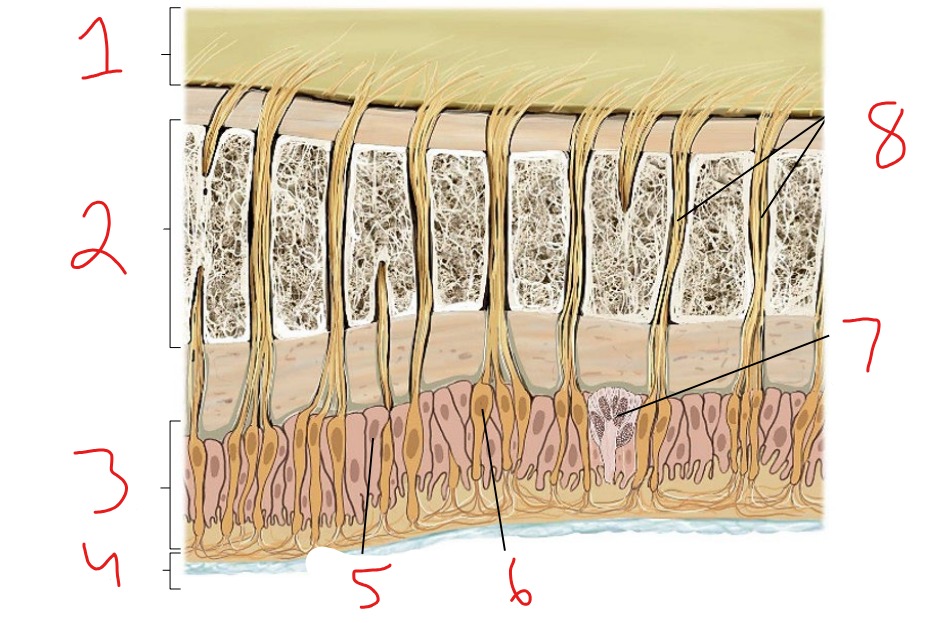 <p>What is #3?</p>