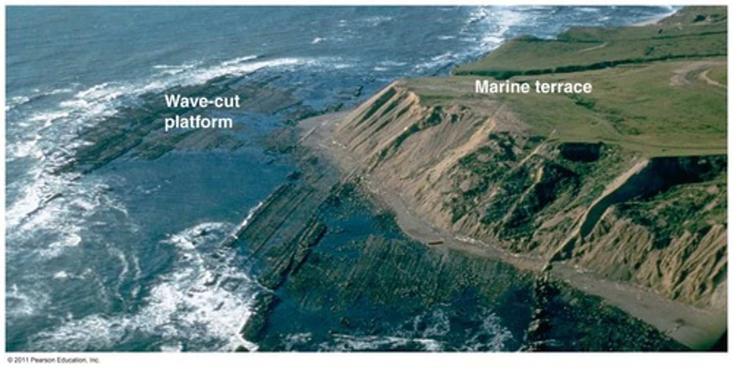 <p>Marine platforms are generally gently sloping inland for some distance. Marine platforms also are generally erosional material such as rocks whereas raised beaches are more depositional material like sand</p>