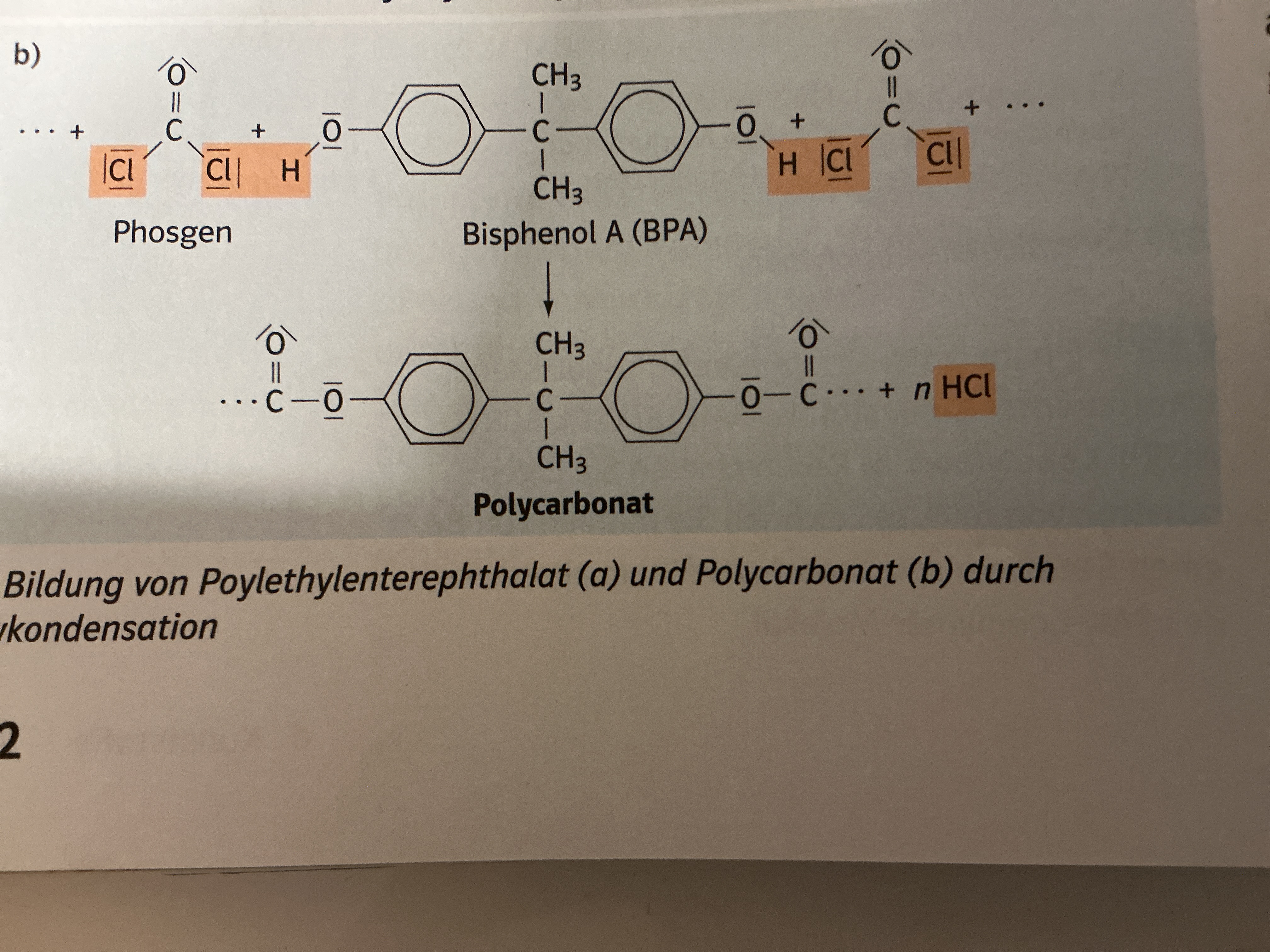 <p>Ester der Kohlensäure</p><ul><li><p>Ausgangsstoff für Synthese von Polymere Kunststoffen</p></li><li><p>Verwendung: Konservendosen, Trinkflaschen, Farbe,…</p></li><li><p>Verbote für Babyflaschen und Beschichtung Thermopapier</p></li><li><p>Wirkt als Hormon → kann in kleinen Mengen Schäden verursachen (Fruchtbarkeit)</p></li></ul><p></p>