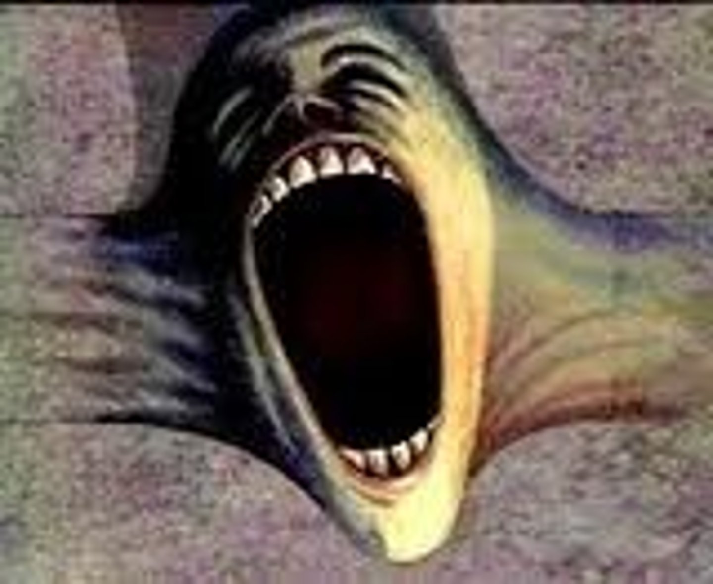 <p>grito de espanto, de miedo.</p>