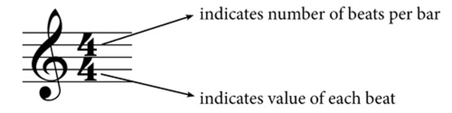 <p>The organization of beats (like 4/4 time).</p>