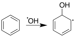 <p>A functional group consisting of an oxygen atom bonded to a hydrogen atom. It is commonly found in organic compounds and plays a crucial role in various chemical reactions, such as alcohol formation and hydrogen bonding.</p>