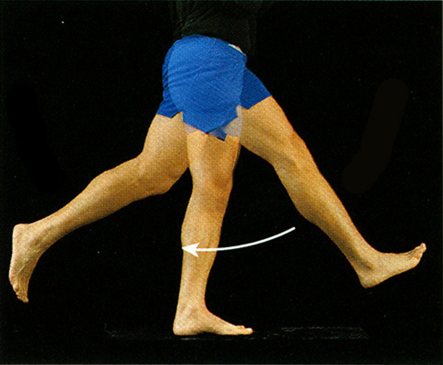 <p>- extends the thigh, especially during flexion</p><p>- laterally rotates the thigh</p><p>- abducts the thigh</p>