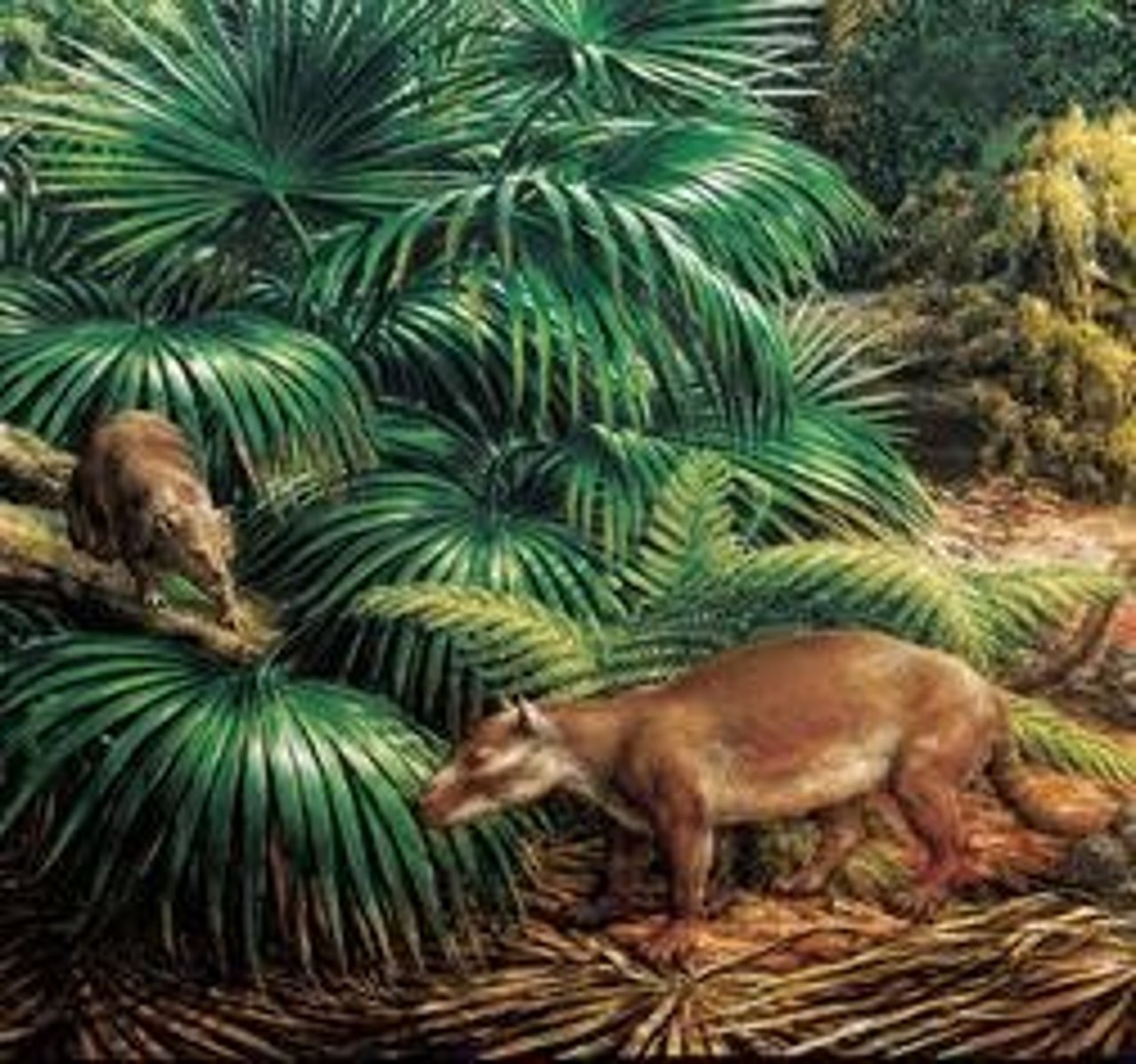 <p>Mammals.</p>