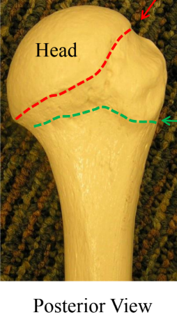 <p>What is the red dotted line? </p>