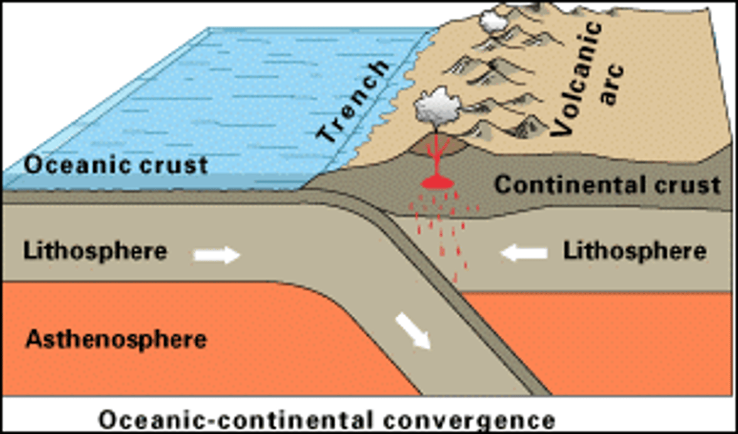 <p>The region where a denser oceanic plate collides and descends down into the asthenosphere, below a less dense continental plate.</p>