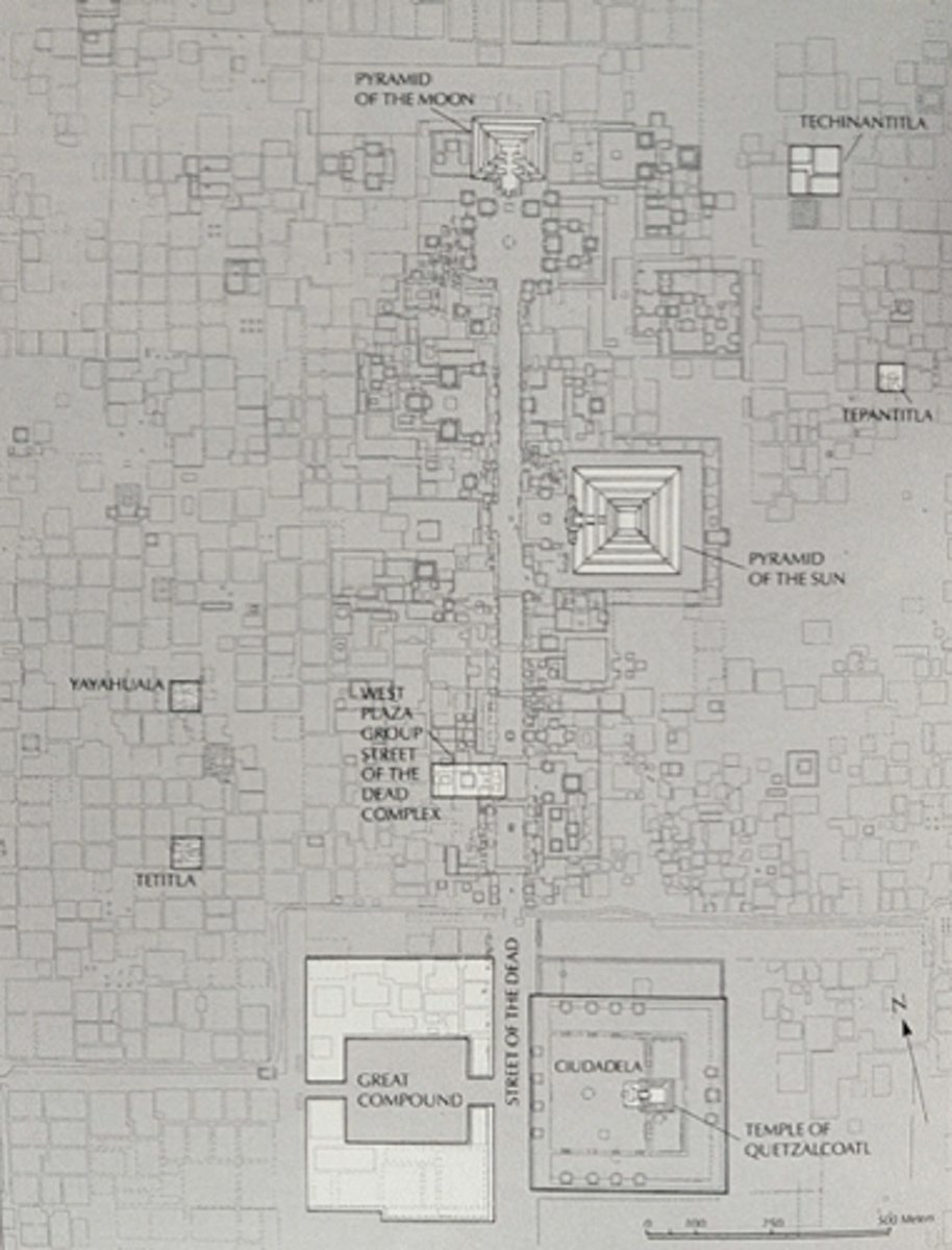 <p>-Powerful political centre<br>-Elites controlled religion, and obsidian manufacturing<br>-AD 1 and AD 200<br>-80 000 ppl<br>-Aztecs called it the city of the gods</p>