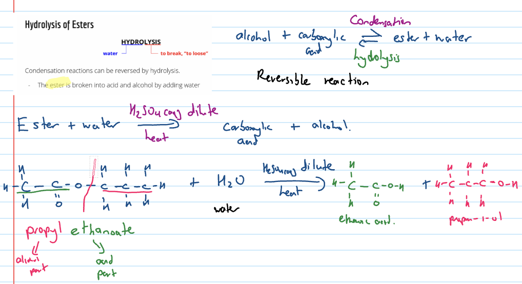 <p>condensation reactions can be reversed by hydrolysis</p><ul><li><p>ester broken down into acid and alcohol by adding water</p></li></ul><p></p>