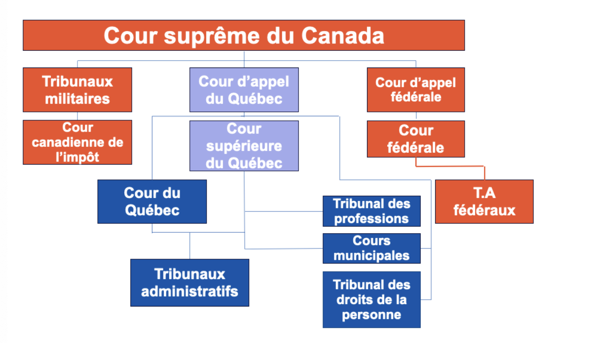<p>Cours municipales </p>