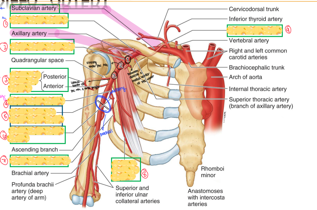 <p>Name all these structures</p>