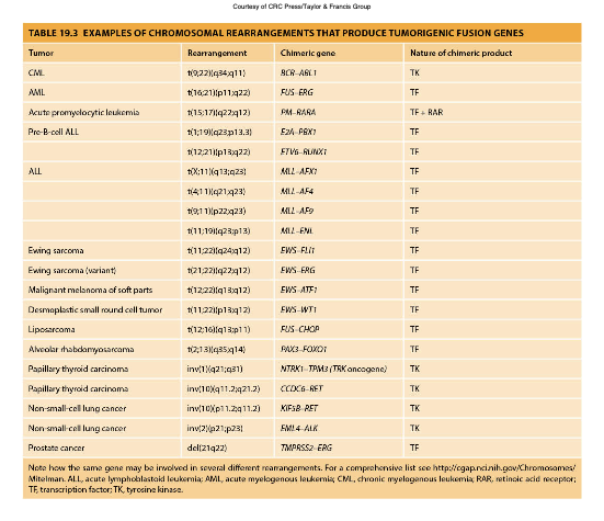 <p>Genetic alterations caused by breaks in chromosomes that lead to translocations, deletions, or inversions, often resulting in cancer by activating oncogenes or inactivating tumor suppressor genes. </p>