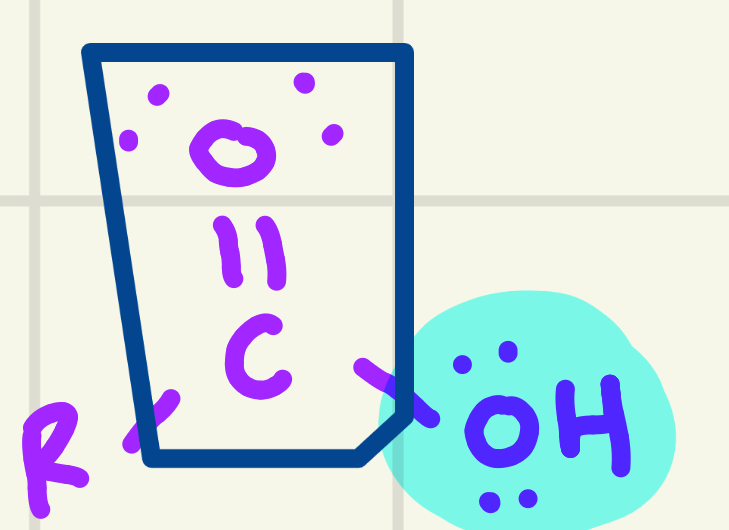 <p>identify the functional group</p>
