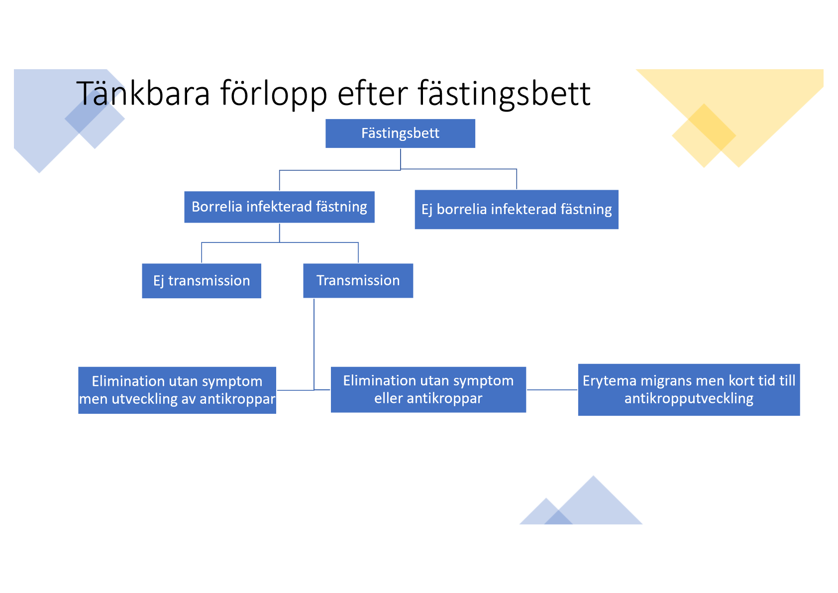 <p>Transmission av bakterien från fästingens magsäck till huden eller inte, behöver minst 24 timmar. </p><p>Elimination sker av kroppen om mängden av bakterier är liten. </p>