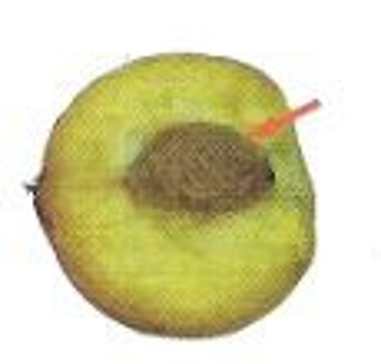 <p>(n) hạt ( 1 hạt, cứng)</p>