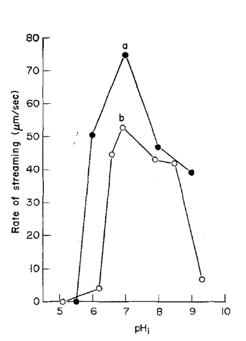 <p>Maximal streaming occurs at pH ~7, with decreased rates in acidic or alkaline conditions.</p>