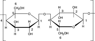 <p>major component of cell wells in plants</p><p>cannot be digested by humans, lack the enzyme</p><p>b-glucose polymers bonded by glycosidic linkages</p>