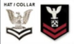 <p>Perched Eagle, Specialty Mark, 2 Chevrons</p>