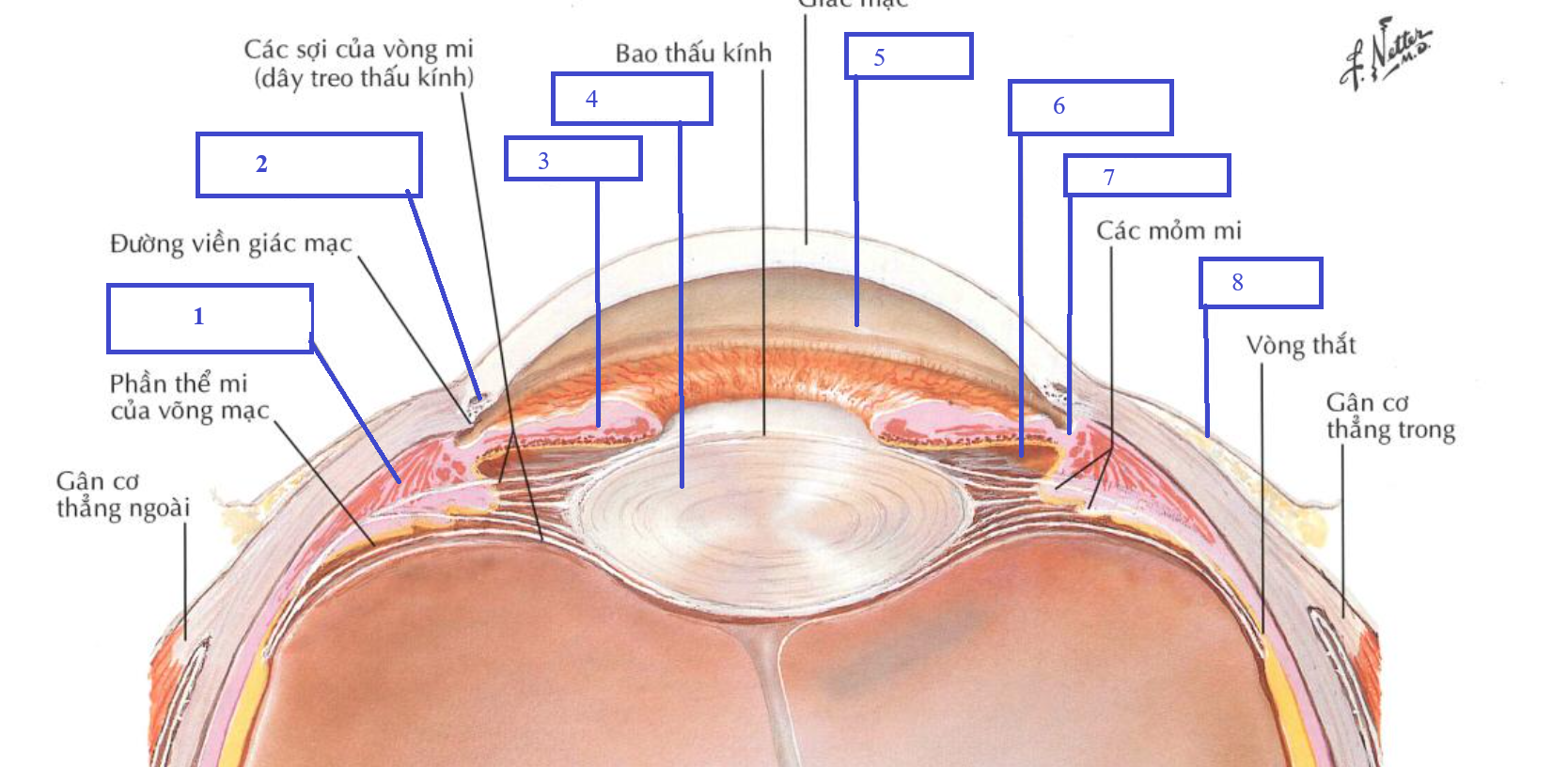 <p>Chi tiết số 2 là gì ?</p><p>Chi tiết số 3 là gì ? </p>