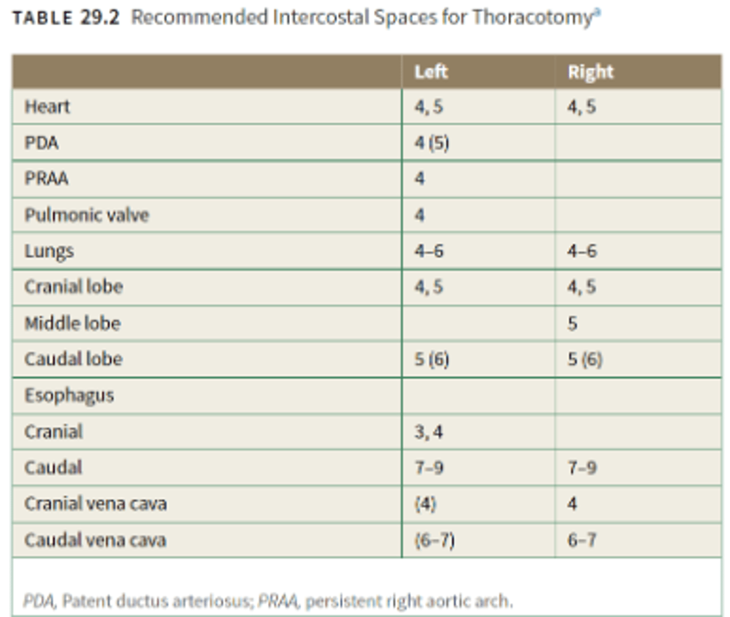<p>Review this chart of recommended intercostal spaces for thoracotomy</p>