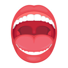 <p>Mouth</p>