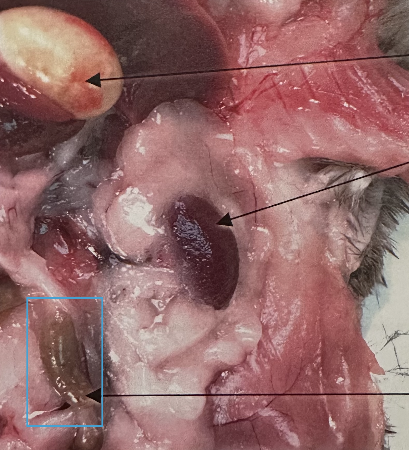 <p>What is this?</p>