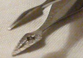 <p>Walter Splinter Forceps</p>
