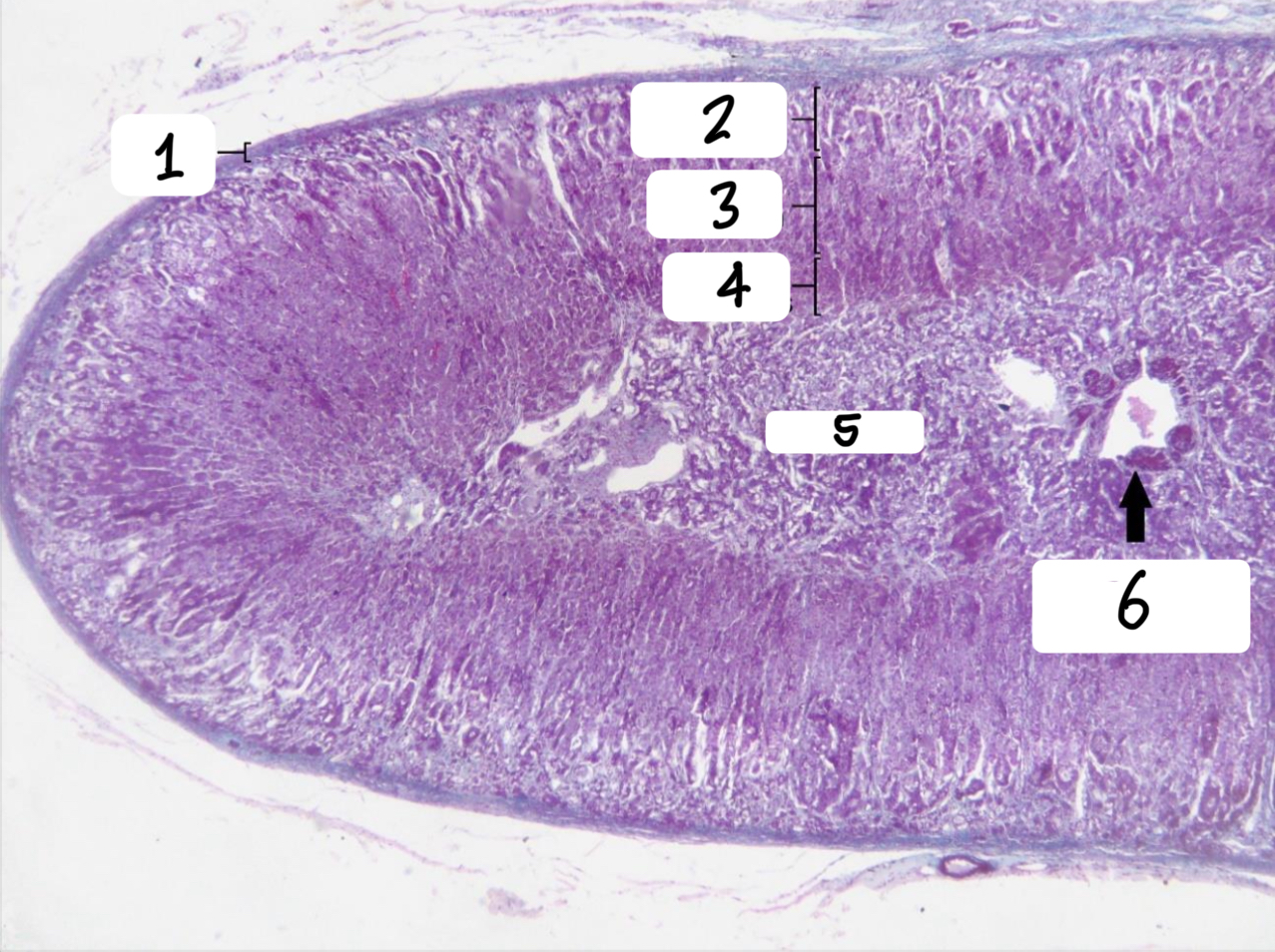 <p>4</p>