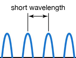 <p>WAVELENGTH: <strong>SHORT</strong></p>