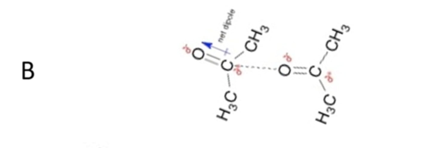 <p>dipole - dipole interactions</p>