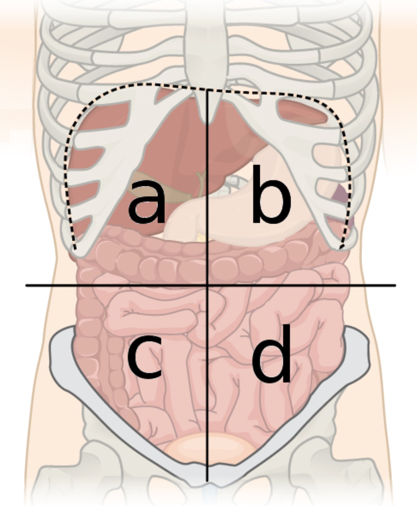 <p>c</p>