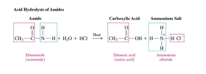 <ul><li><p>requires heat + acid</p></li><li><p>produces a carboxylic acid and an ammonium salt</p></li></ul>